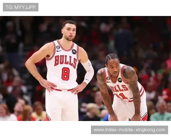 公牛内部又吵架